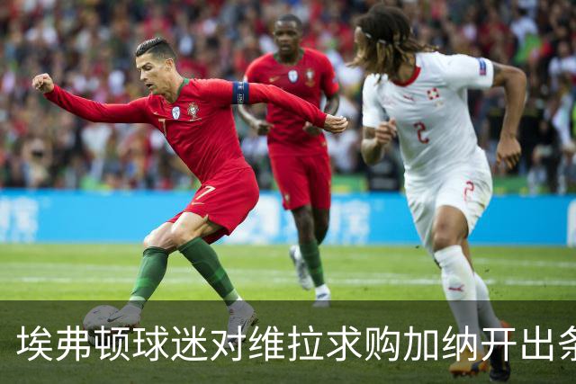 埃弗顿球迷对维拉求购加纳开出条件：拿1亿英镑来换中场数据王